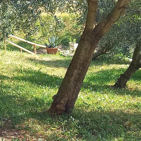 Nido Di Nico Apartment *